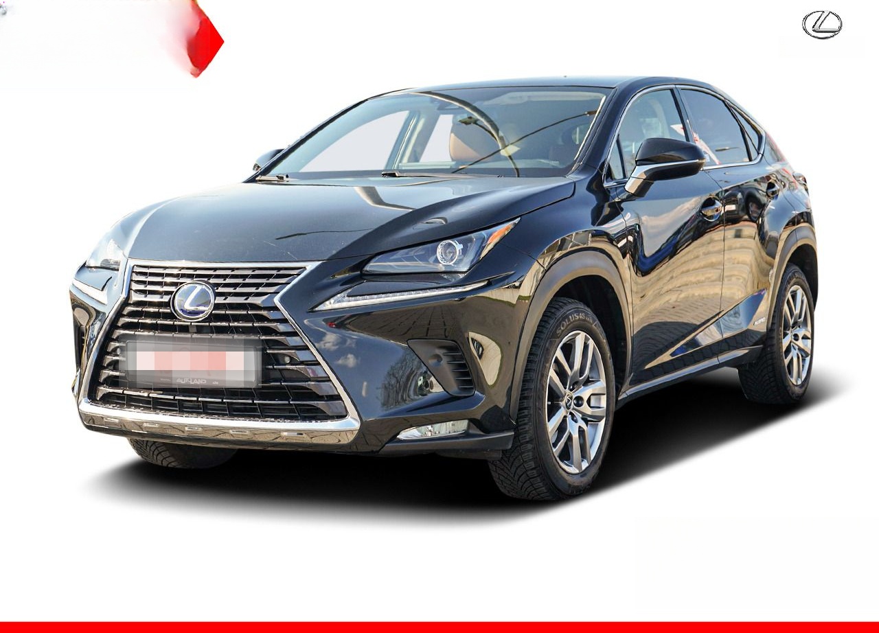 Lexus NX 300h Executive Line (E-Four) LED Navi Kamera