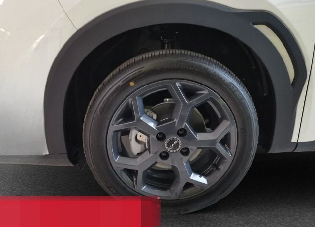 BYD Dolphin Surf Comfort PANO NAVI 360 LEDER foto 10