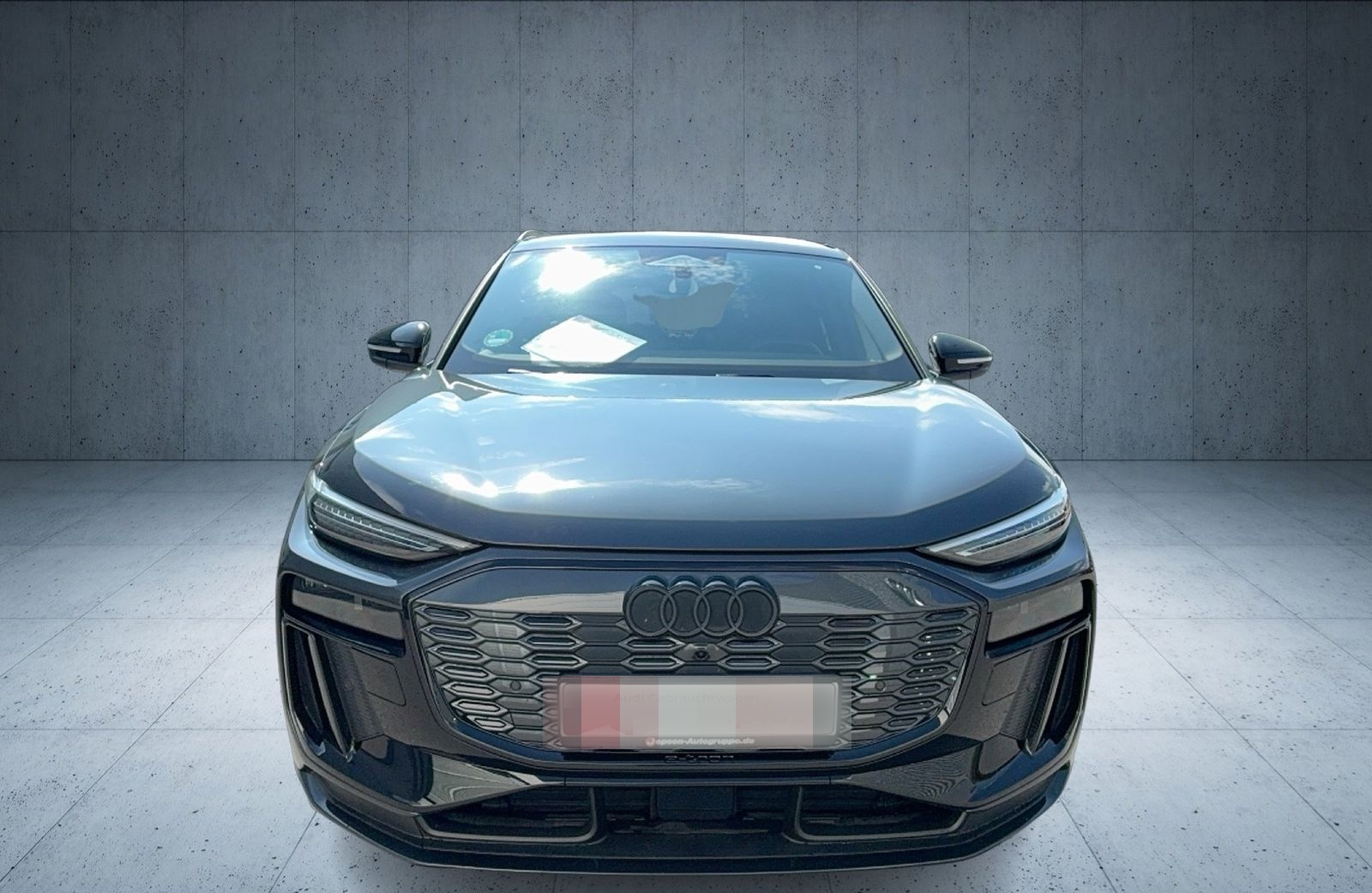 Audi Q6 SUV e-tron AHK 20 Matrix ACC 360 4xSHZ Keyles foto 9