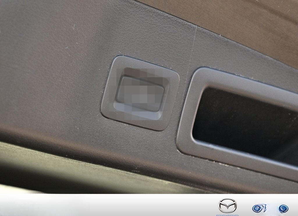 Mazda 3 5-trg. 2.0 Homura SHZ KAMERA NAVI ACC HUD LED foto 24