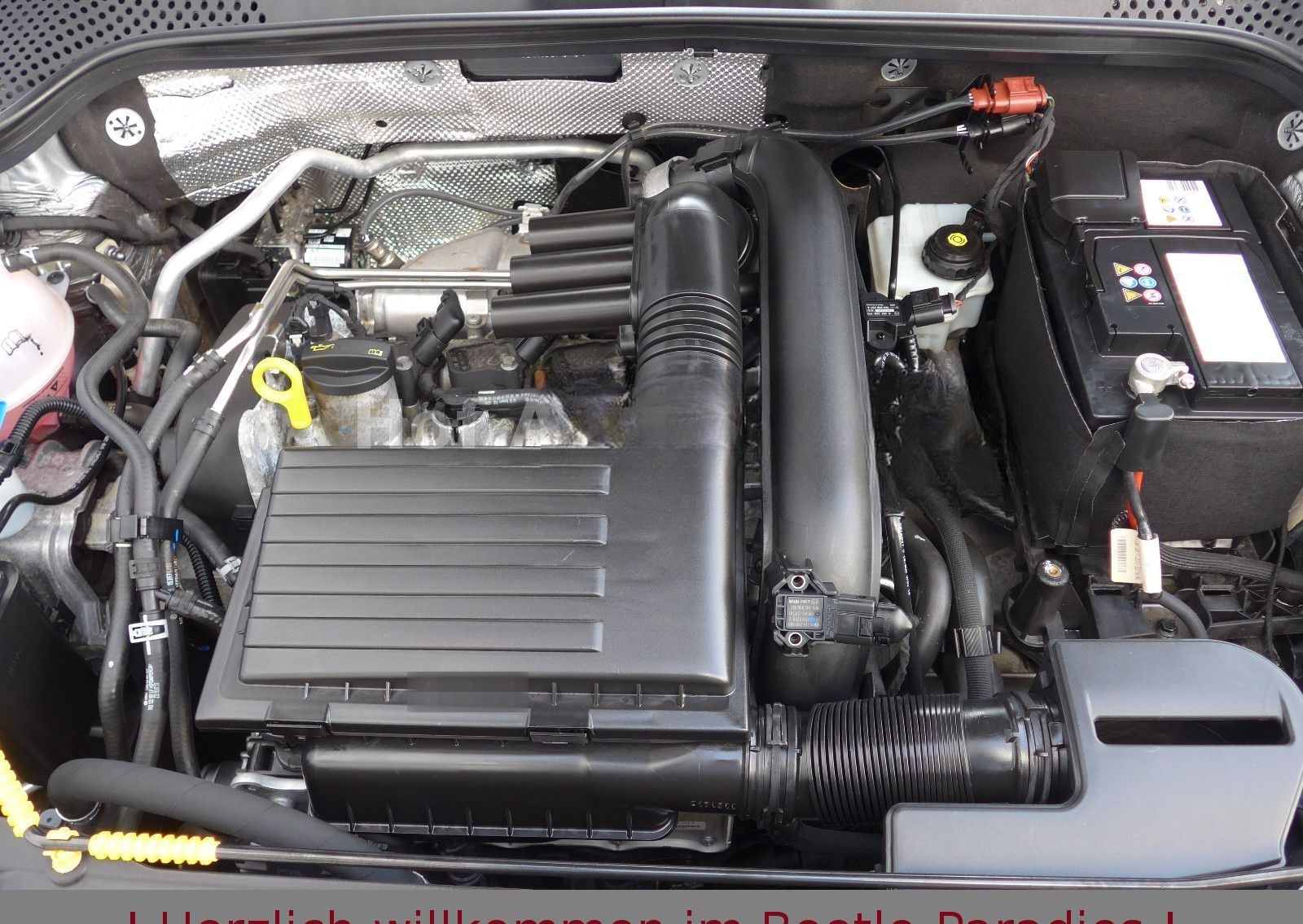 Volkswagen Beetle 1.4TSI DSG Sound Xenon Leder AppCon. Navi foto 23