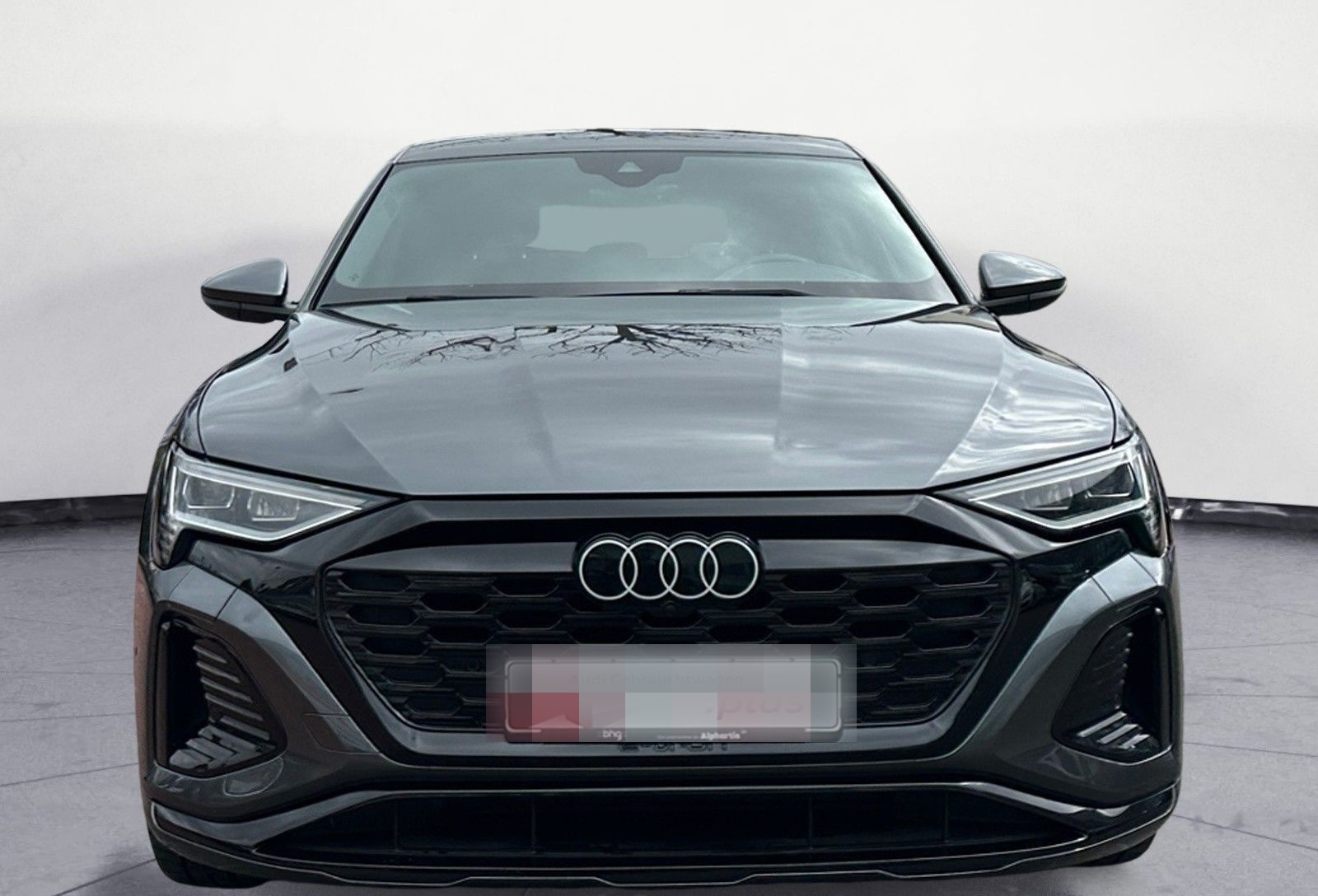 Audi Q8 e-tron 50 quattro S-line Matrix/AHK/ACC/Kamer foto 11