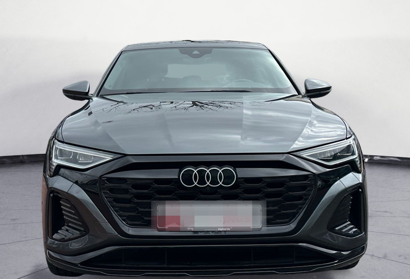 Audi Q8 e-tron 50 quattro S-line Matrix/AHK/ACC/Kamer foto 12