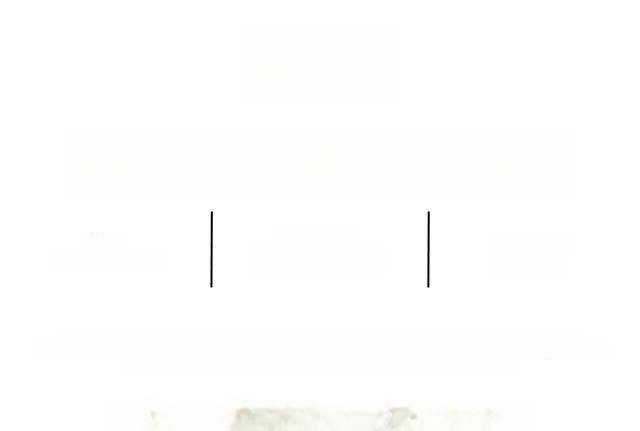 Audi Q5 55 TFSI e q. S-Tronic S-Line, Matrix, AHK, Pa foto 4