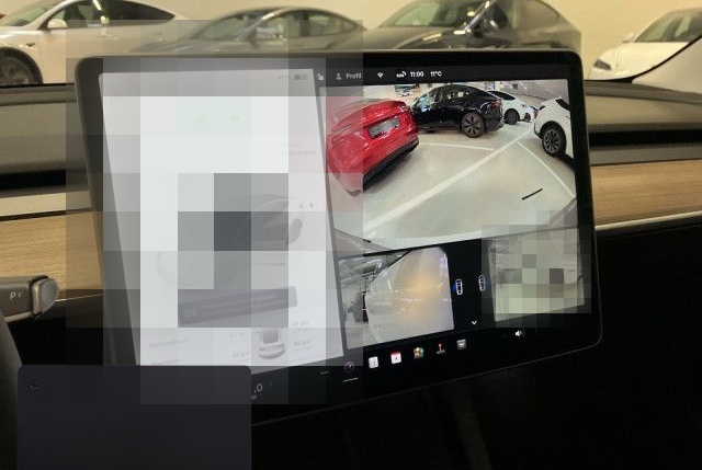 Tesla Model 3 Performance foto 15
