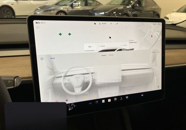 Tesla Model 3 Performance foto 16