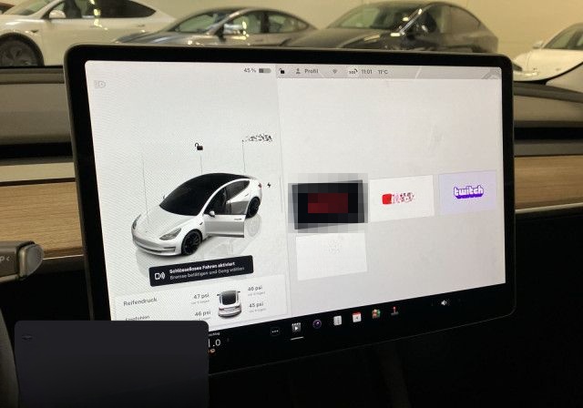 Tesla Model 3 Performance foto 17