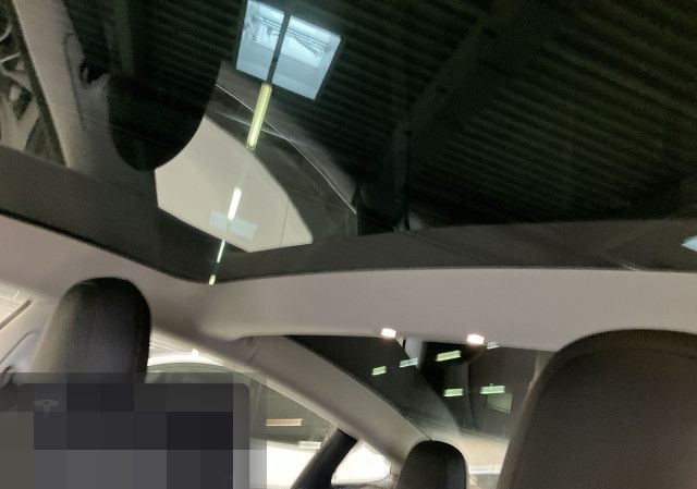 Tesla Model 3 Performance foto 18