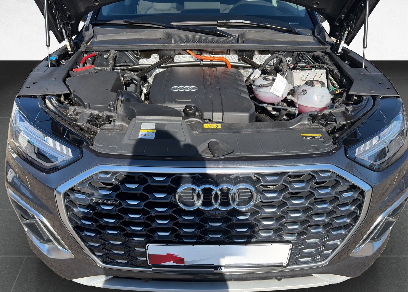 Audi Q5 Sportb S line 55 TFSI e quattro S tronic /AHK foto 18