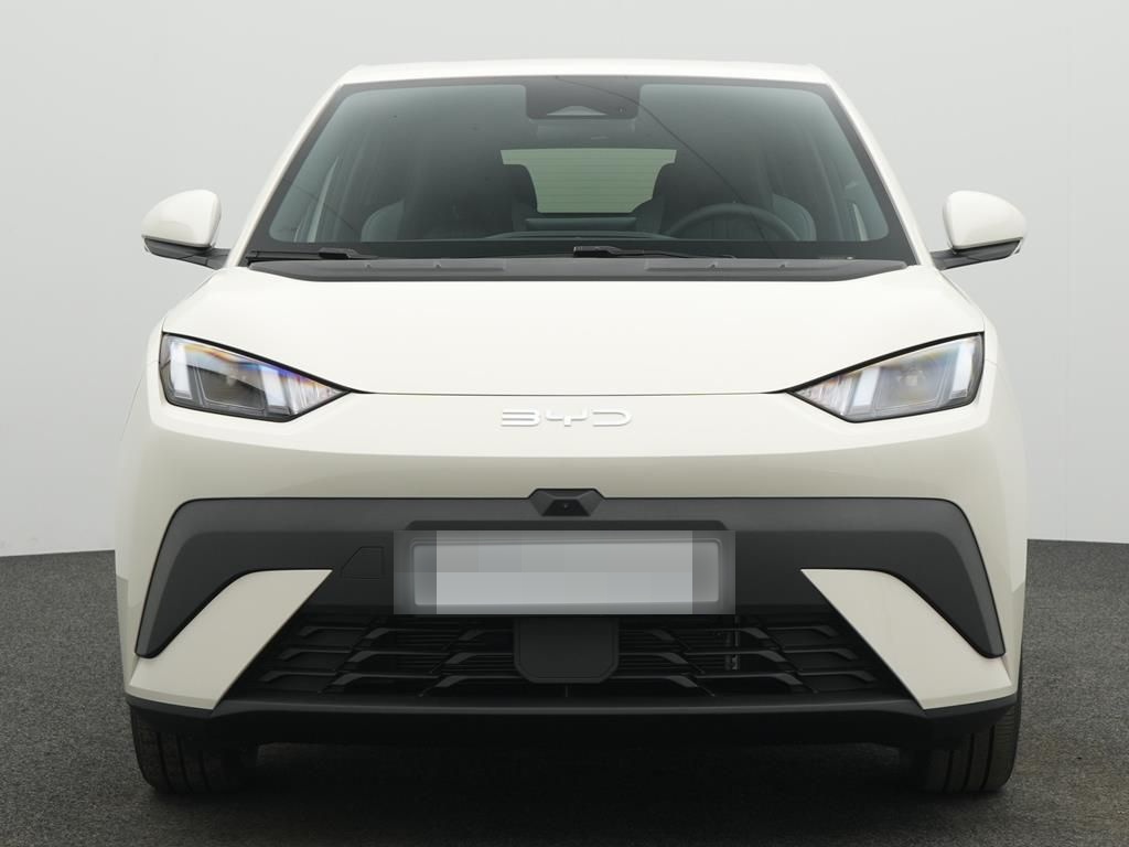 BYD DOLPHIN SURF Comfort foto 2