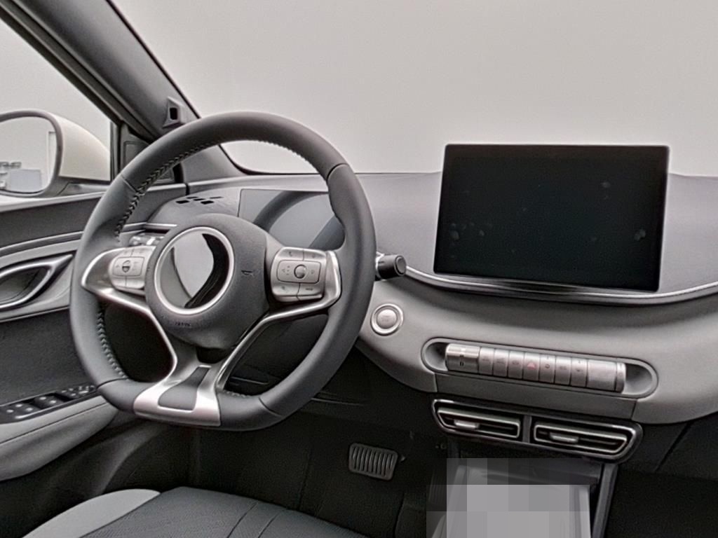 BYD DOLPHIN SURF Comfort foto 11