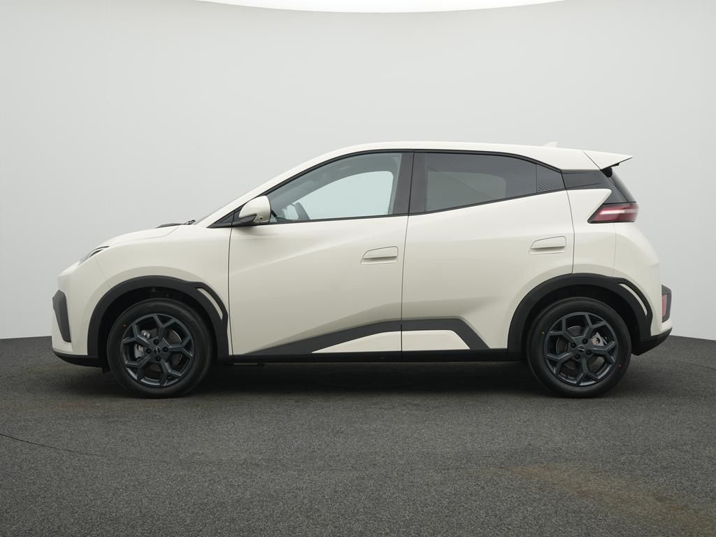 BYD DOLPHIN SURF Comfort foto 4