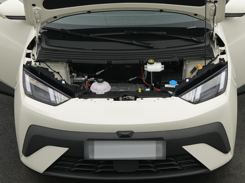 BYD DOLPHIN SURF Comfort foto 5