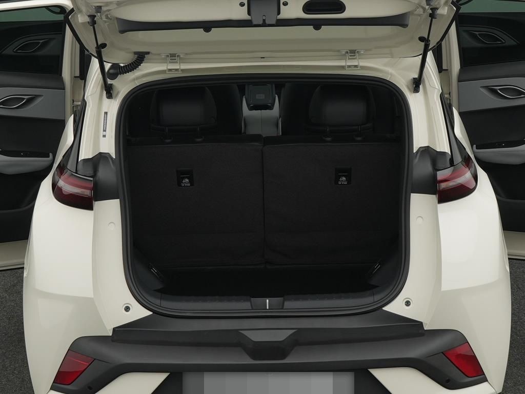 BYD DOLPHIN SURF Comfort foto 6