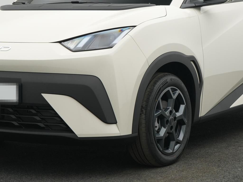 BYD DOLPHIN SURF Comfort foto 8