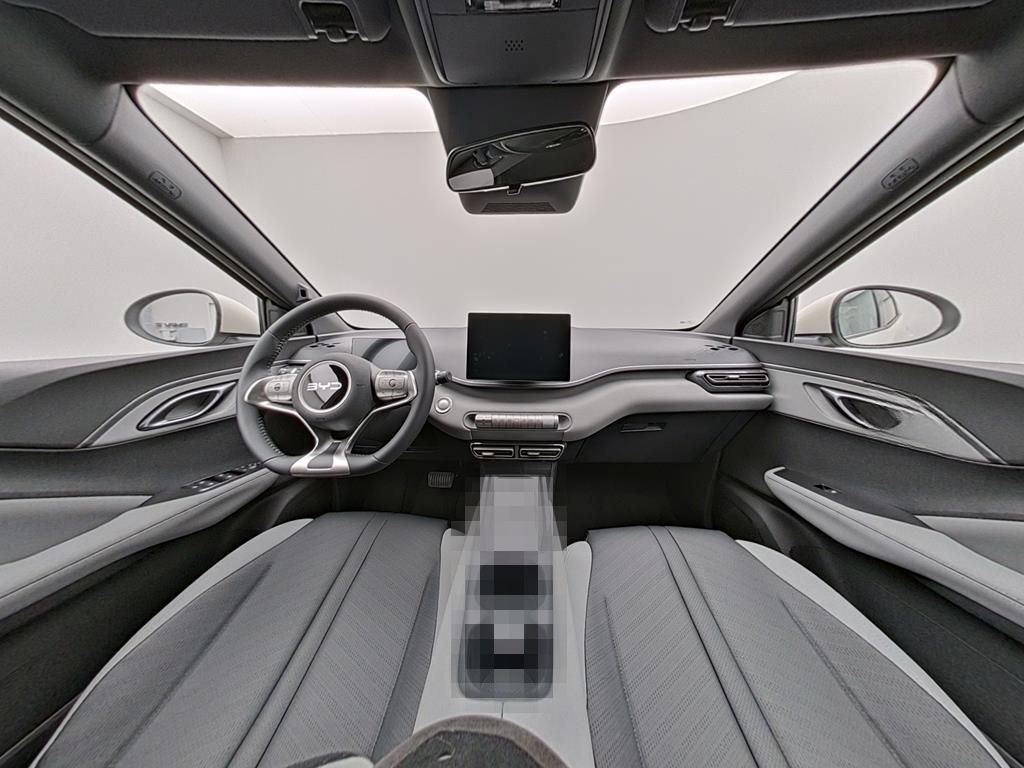 BYD DOLPHIN SURF Comfort foto 9