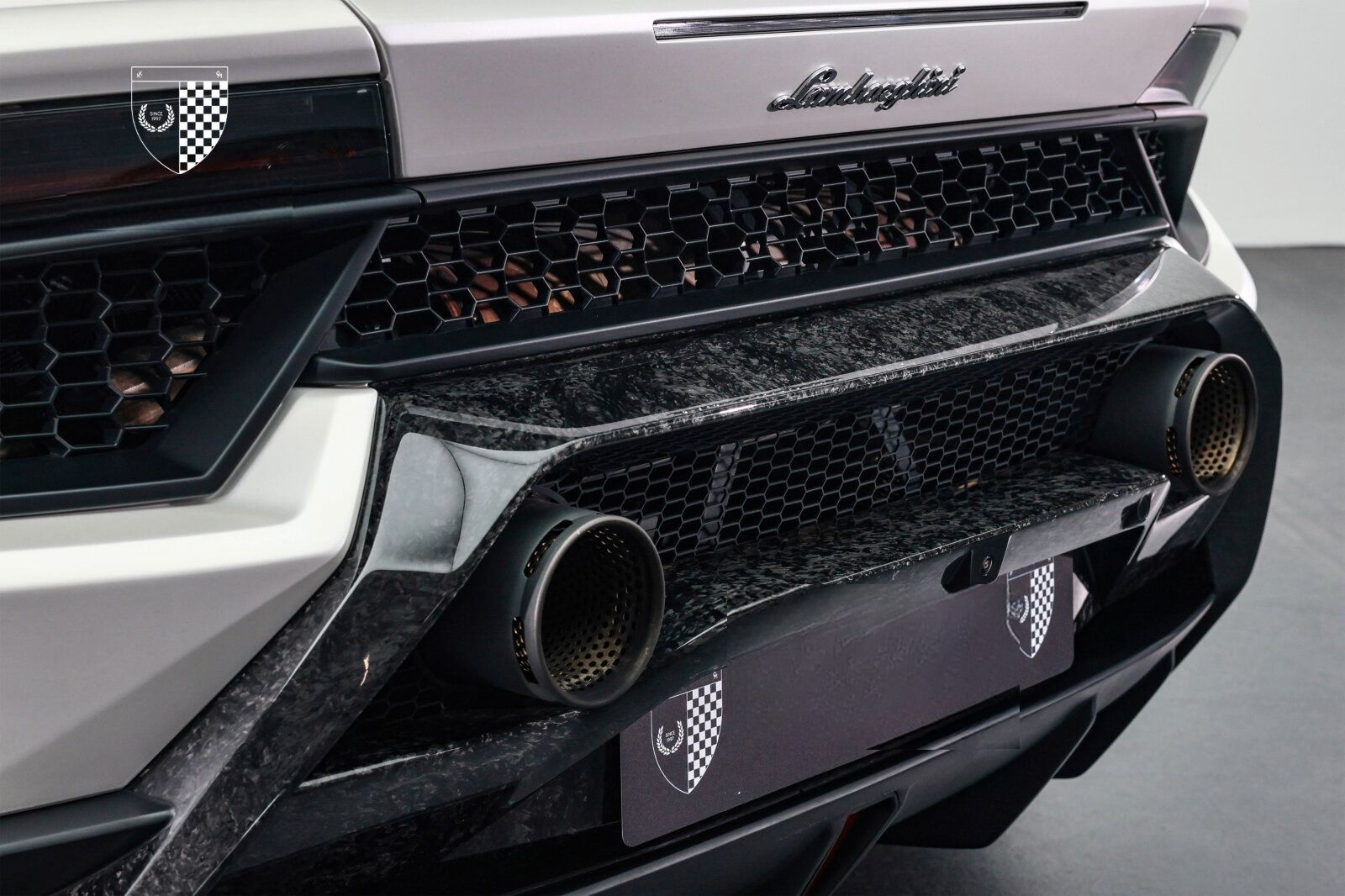 Lamborghini Huracán Performante FullForgedCarbon/Sensonum foto 13