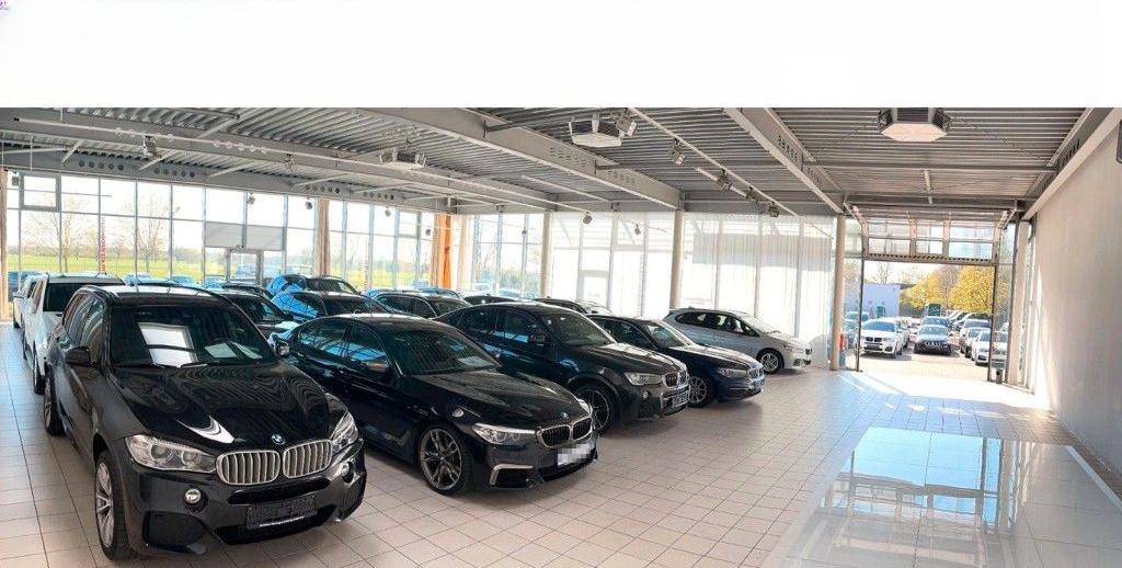 BMW X2 sD18i Aut. Advantage KAMERA AHK Unfallfrei foto 18