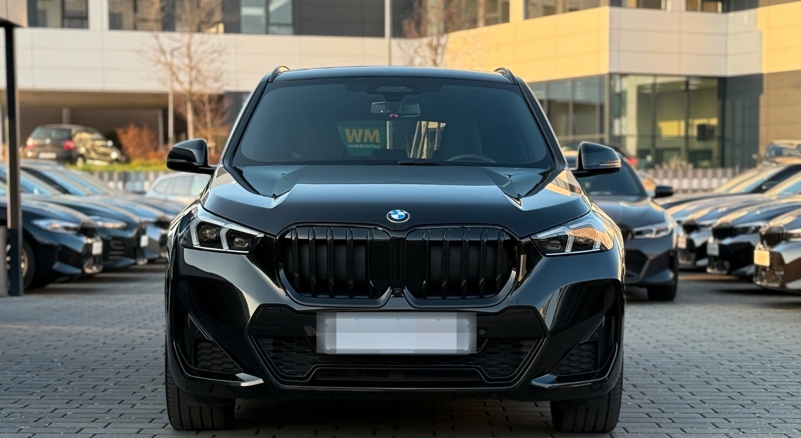 BMW X1 20 d xD M Sport AHK 20" hifi Pano HuD memory foto 4