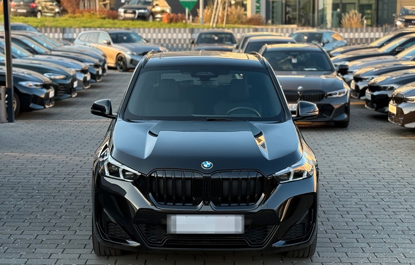 BMW X1 20 d xD M Sport AHK 20" hifi Pano HuD memory foto 5