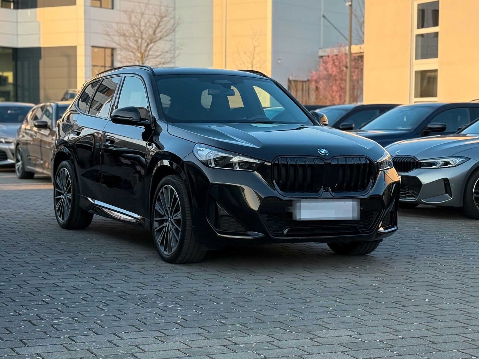 BMW X1 20 d xD M Sport AHK 20" hifi Pano HuD memory foto 6