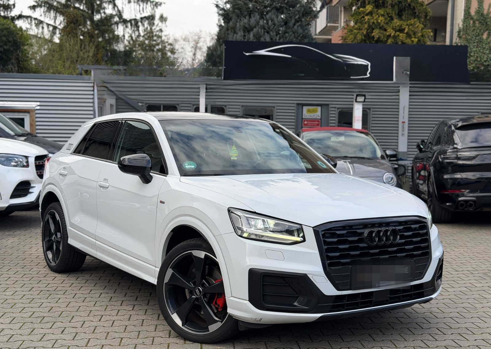 Audi Q2 quattro sport 3x  S-Line*LED*8-Fach*Scheckhft foto 3