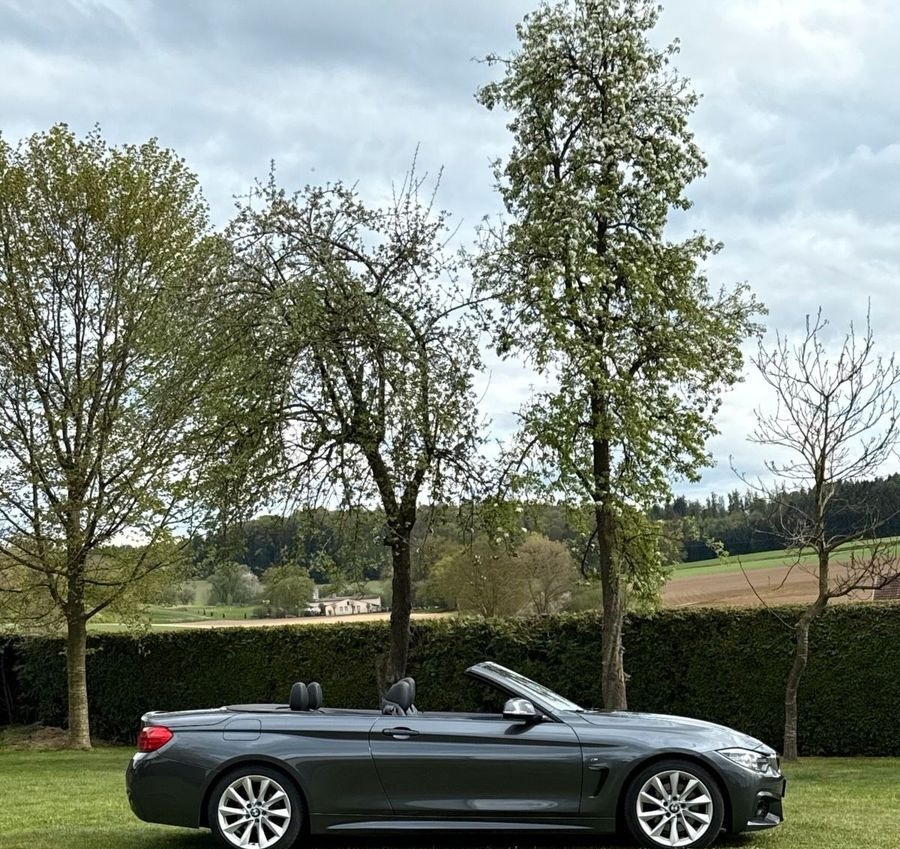 BMW 428i Cabrio M Paket foto 5