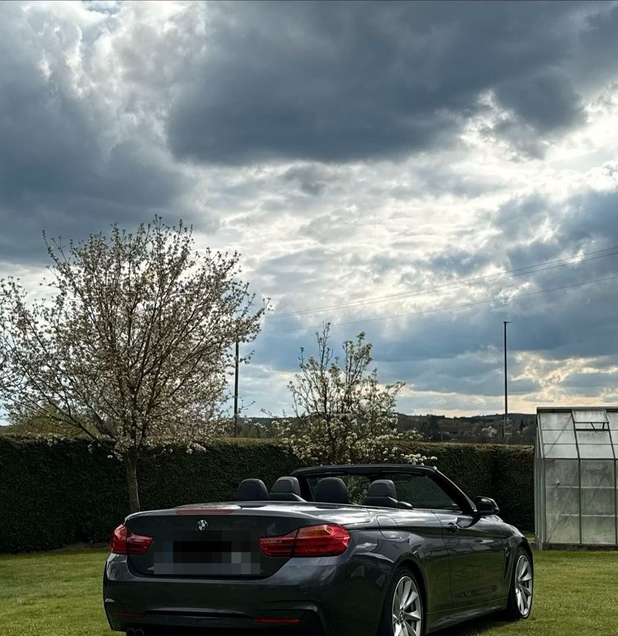 BMW 428i Cabrio M Paket foto 6