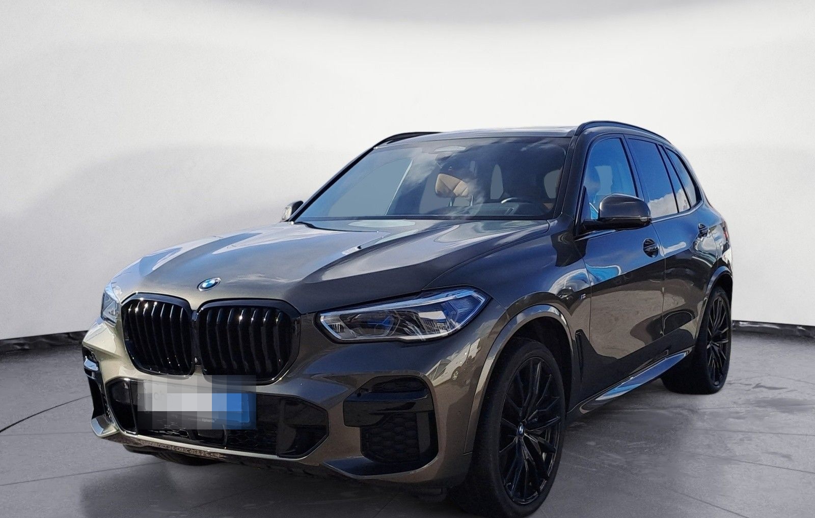 BMW X5 xDrive40d M Sportpaket Innovationsp. Panorama foto 2