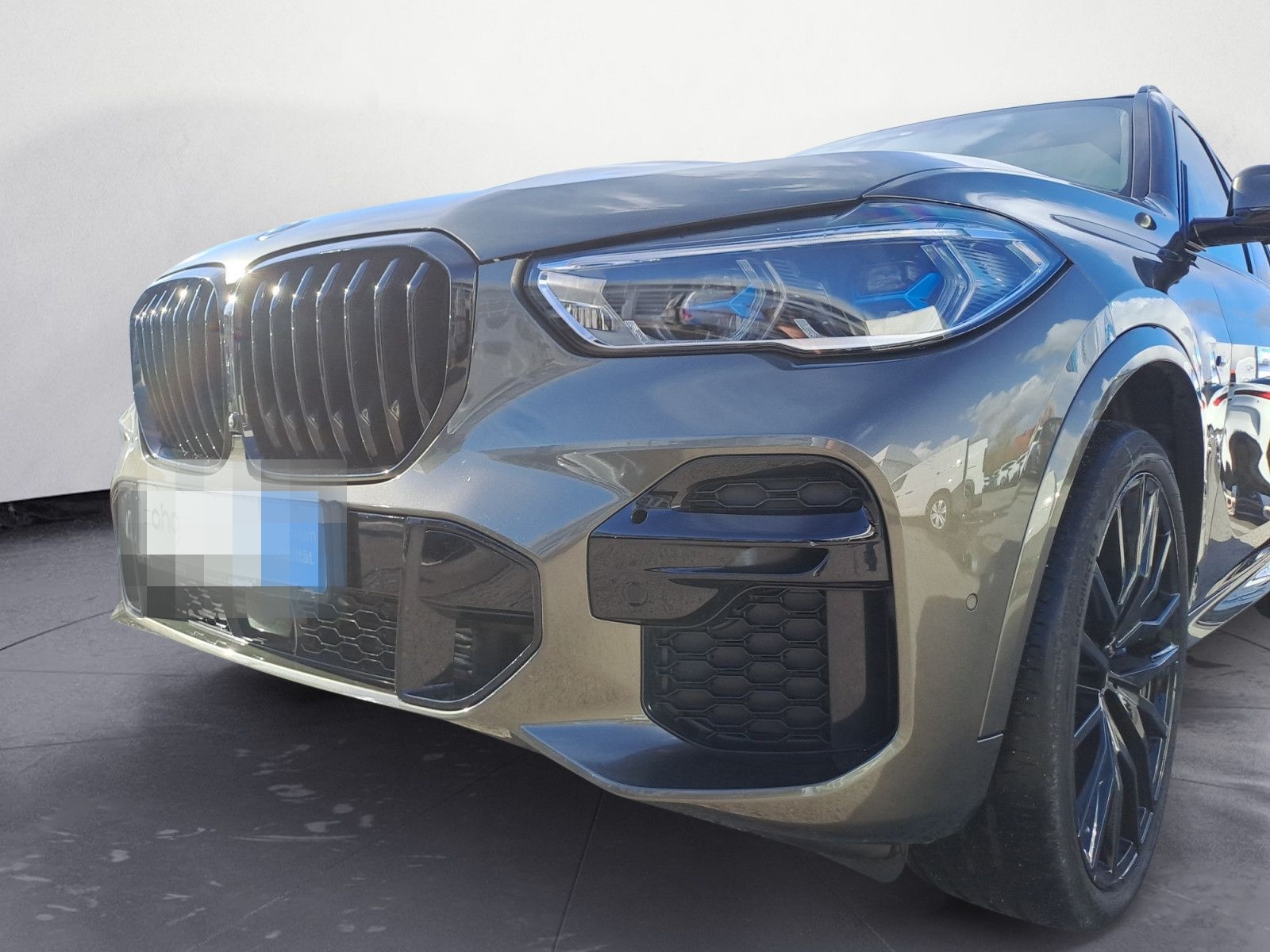 BMW X5 xDrive40d M Sportpaket Innovationsp. Panorama foto 13