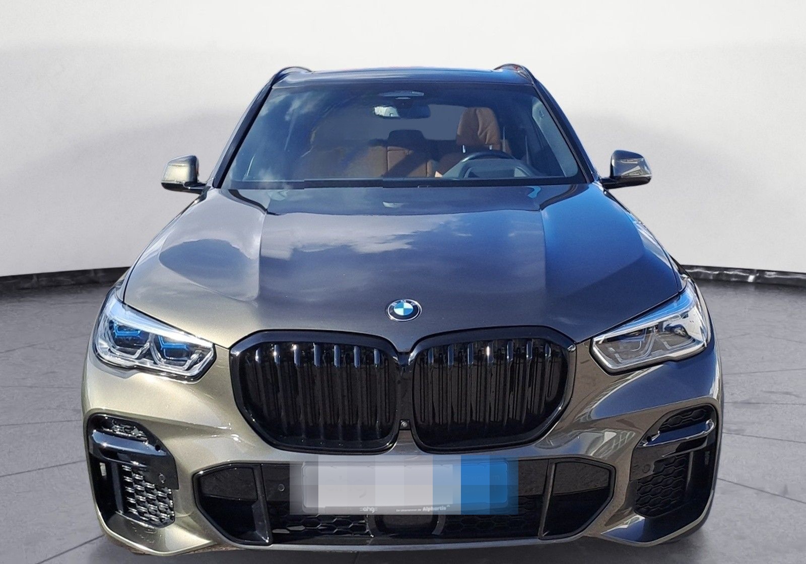 BMW X5 xDrive40d M Sportpaket Innovationsp. Panorama foto 7
