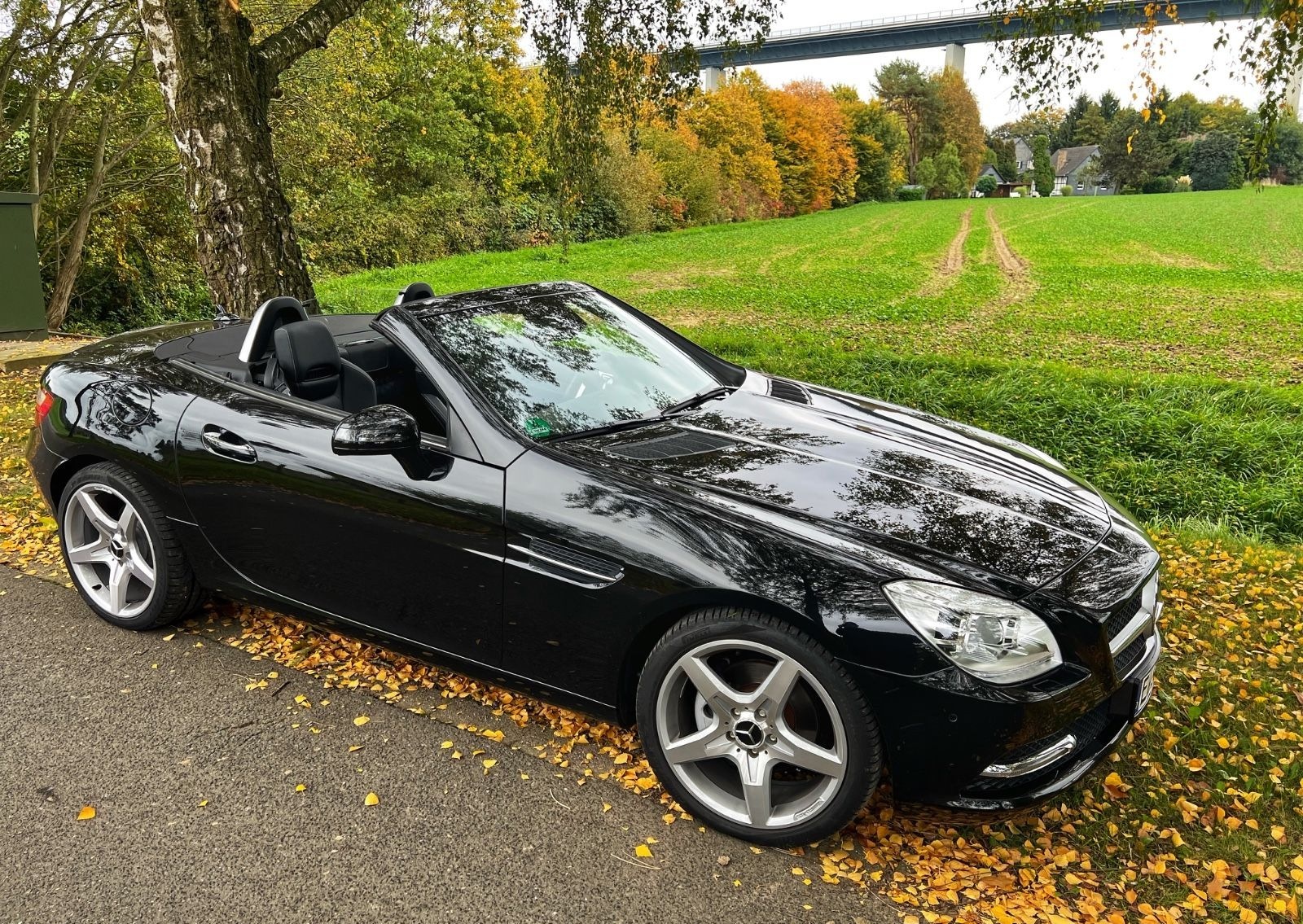 Mercedes-Benz SLK 200 R172 BlueEFFICIENCY Top Zustand  foto 10