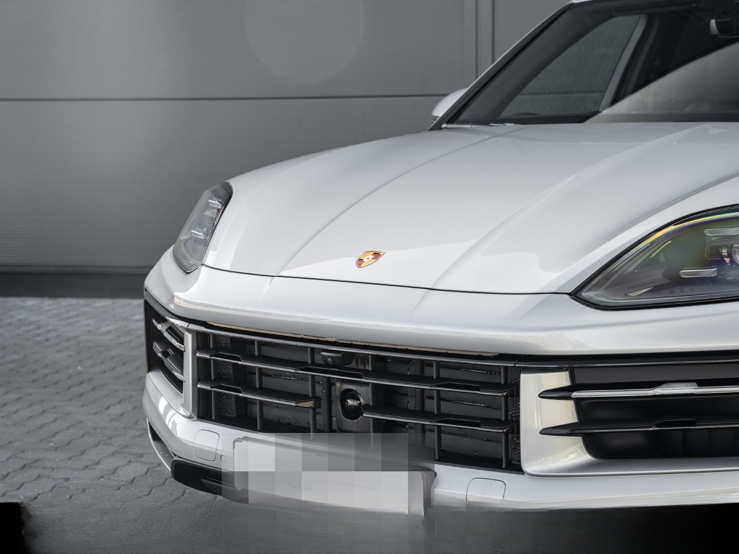 Porsche Cayenne E-Hybrid Panorama Head-Up PASM BOSE foto 13