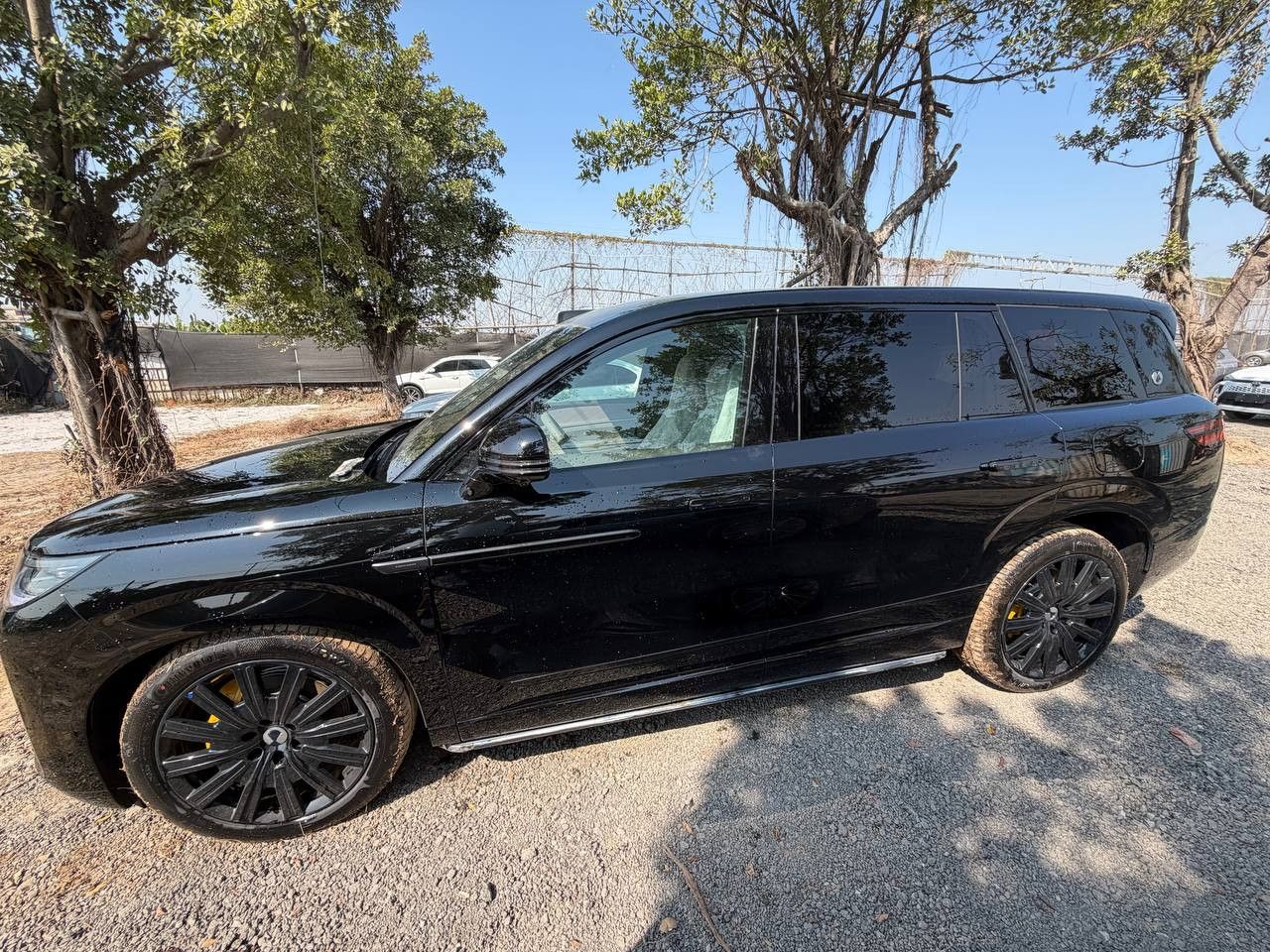 BYD DENZA N9|e³|FLAGGSCHIFF-VOLLAUSSTATTUNG|SOFORT! foto 2