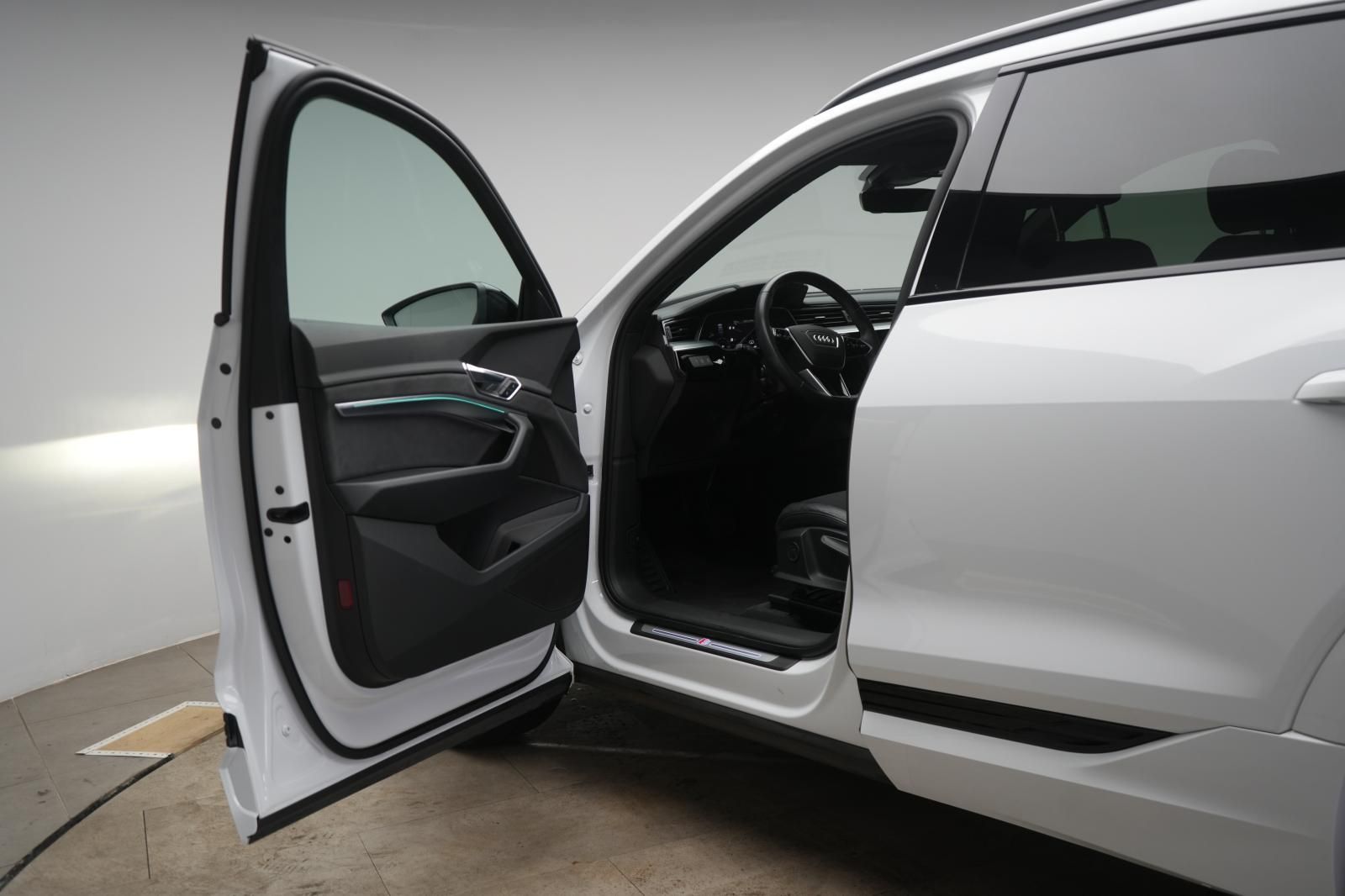 Audi e-tron 55 quattro S line Temp/Kamera/Virtual/Pan foto 11