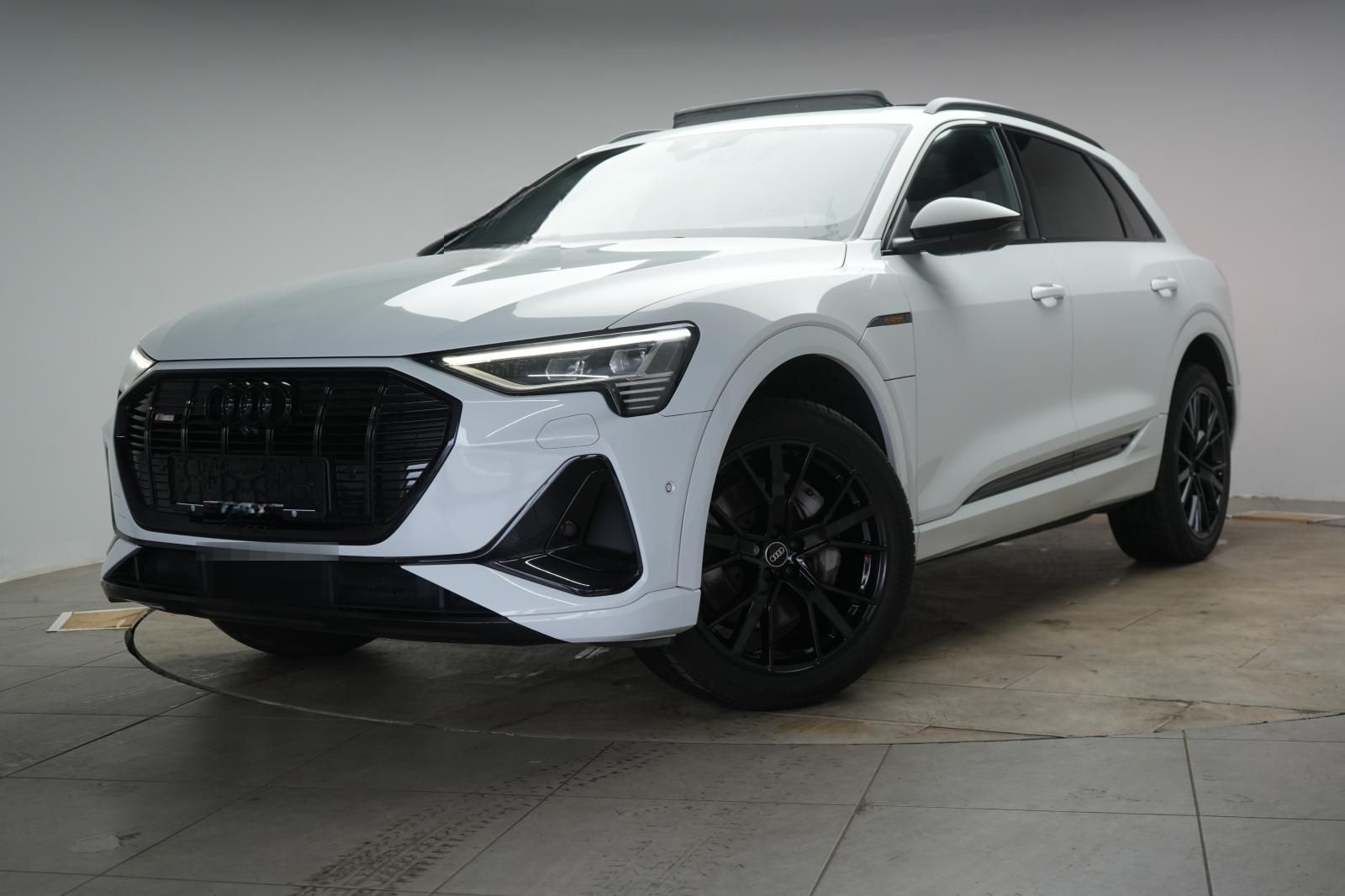 Audi e-tron 55 quattro S line Temp/Kamera/Virtual/Pan foto 3