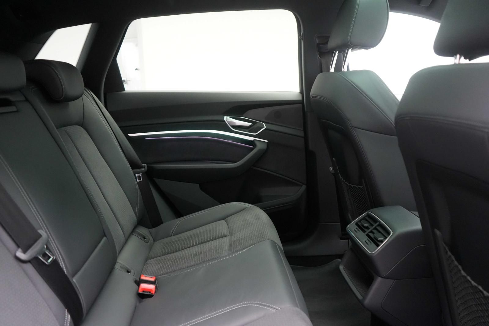 Audi e-tron 55 quattro S line Temp/Kamera/Virtual/Pan foto 8
