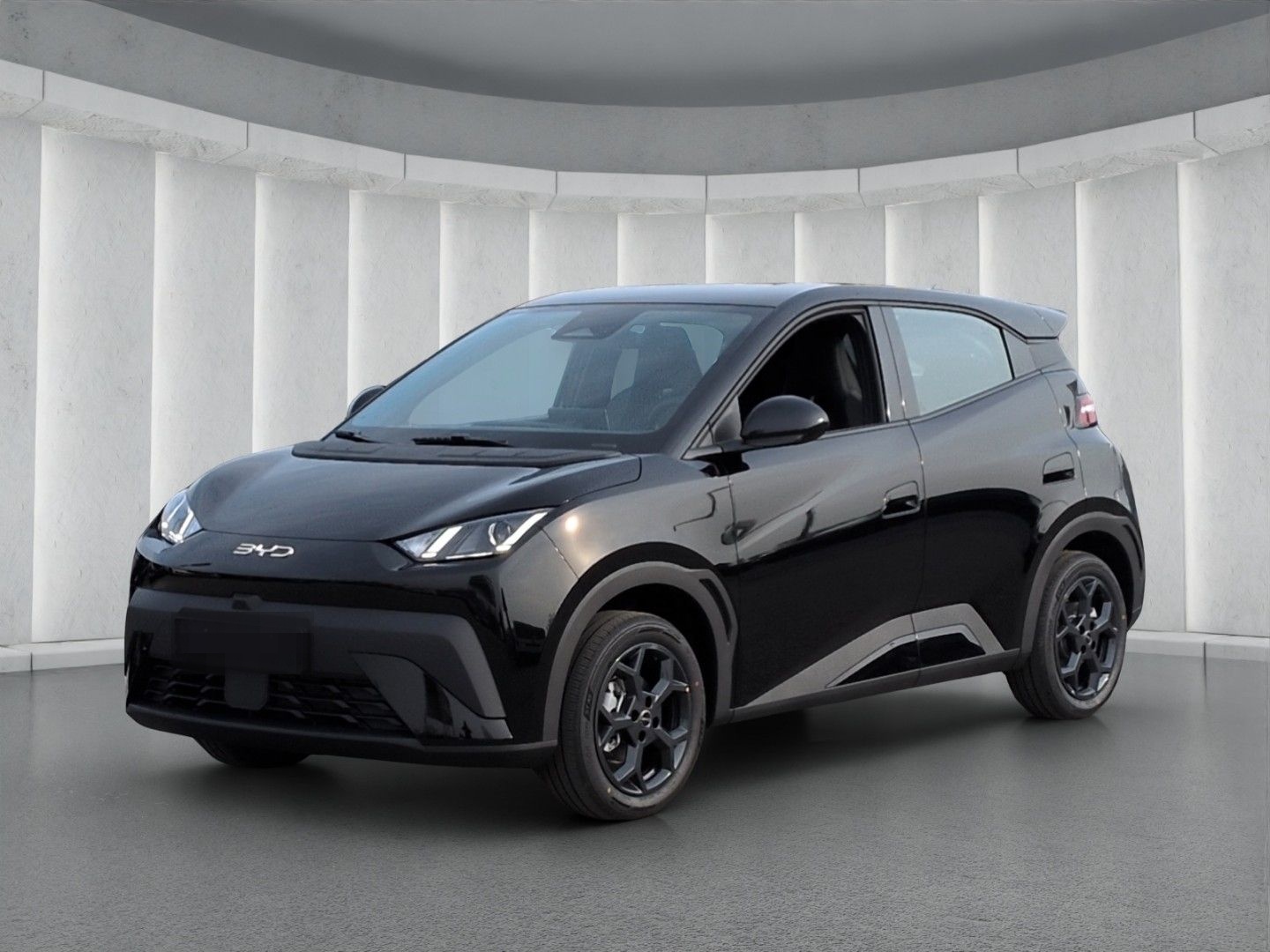 BYD Dolphin Surf Boost*ACC Navi R-Kam Leder el.Sitze foto 2