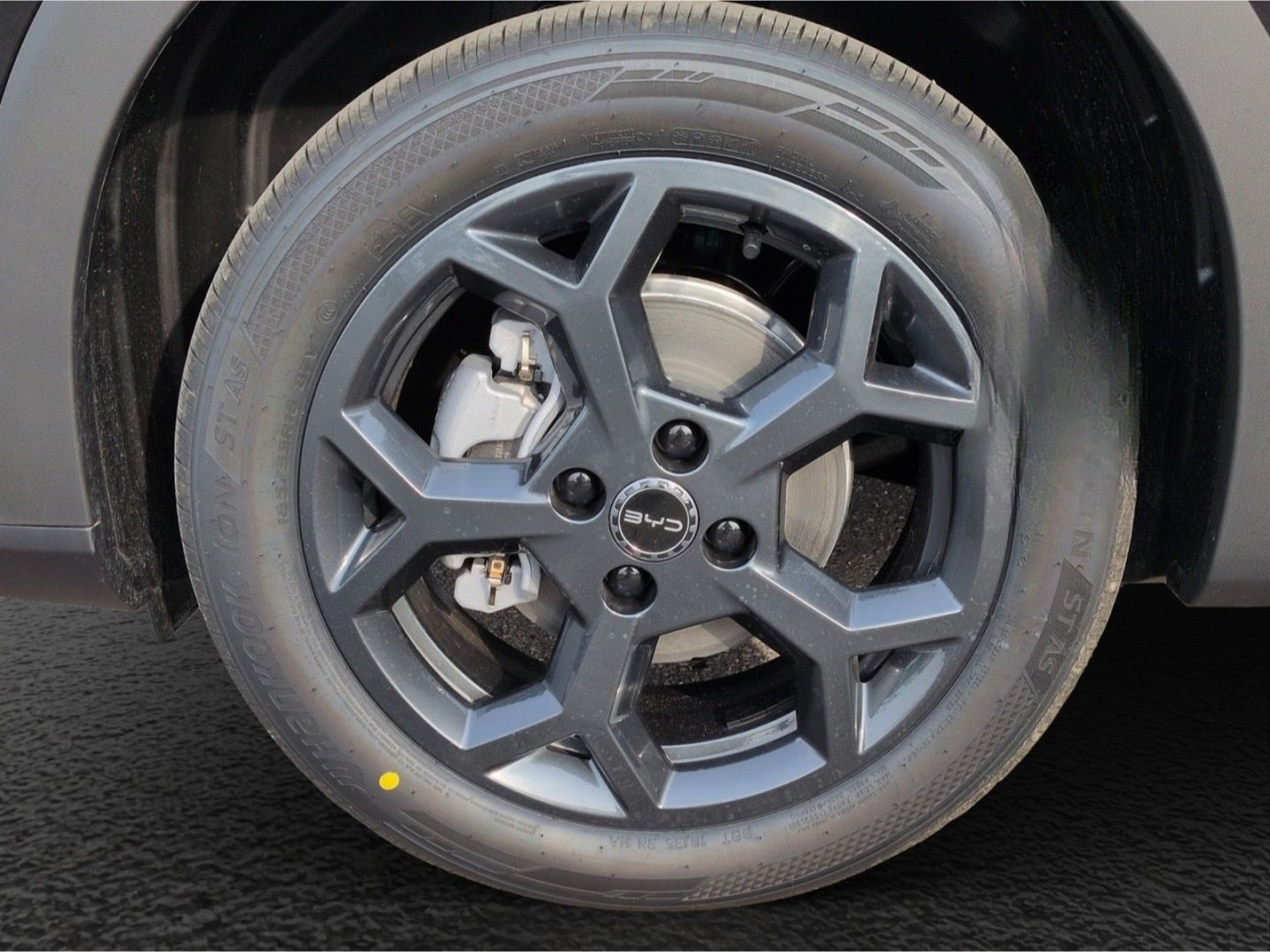 BYD Dolphin Surf Boost*ACC Navi R-Kam Leder el.Sitze foto 18