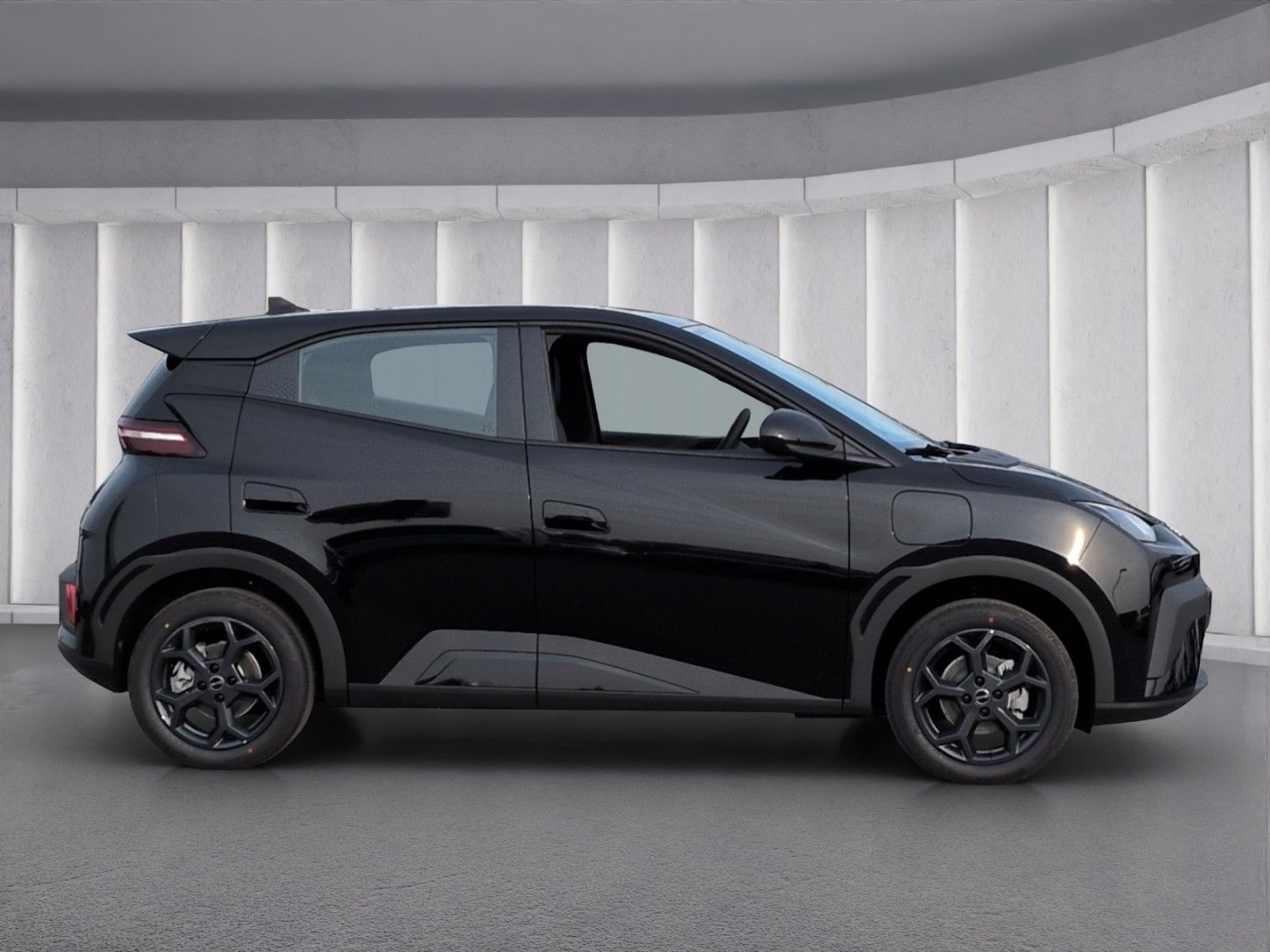 BYD Dolphin Surf Boost*ACC Navi R-Kam Leder el.Sitze foto 3