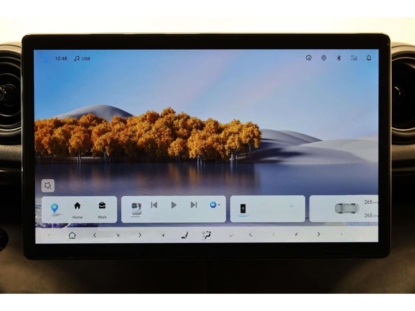 BYD Dolphin Design foto 15