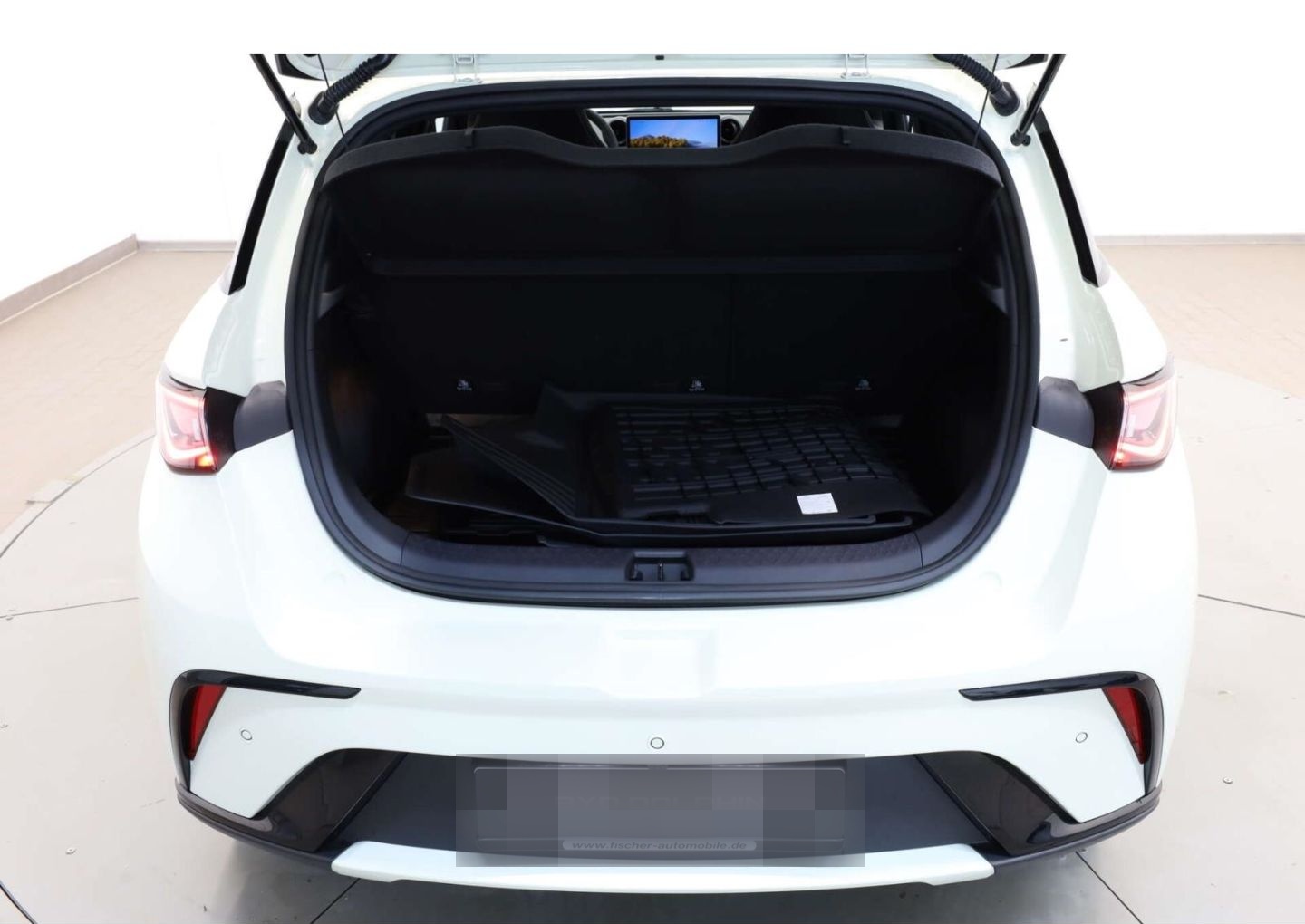 BYD Dolphin Design foto 13