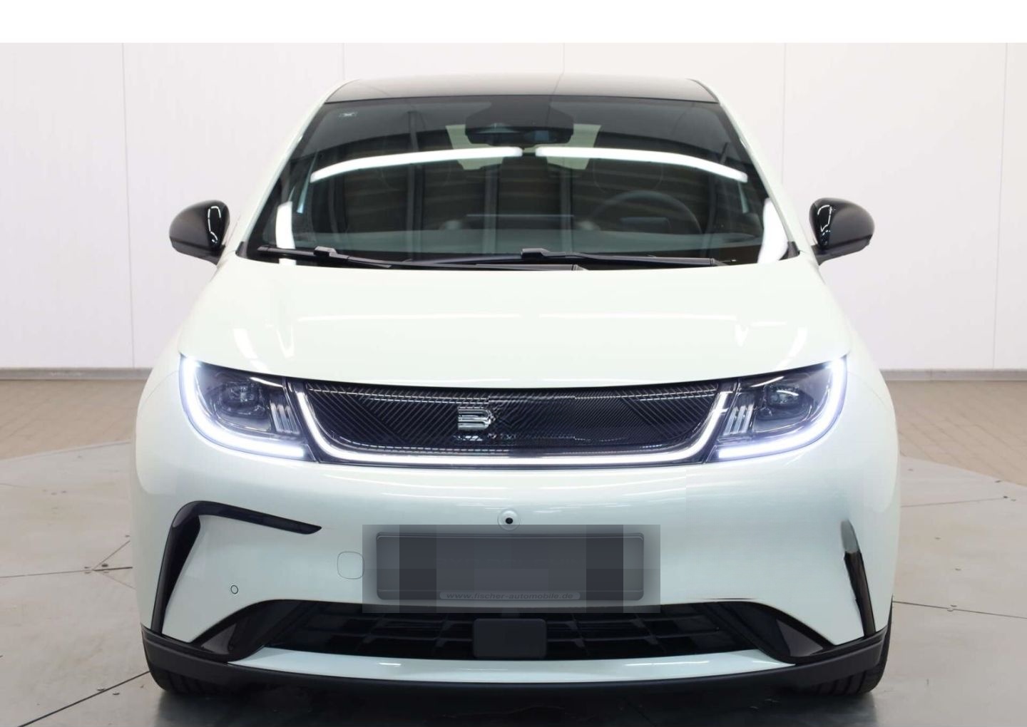 BYD Dolphin Design foto 3