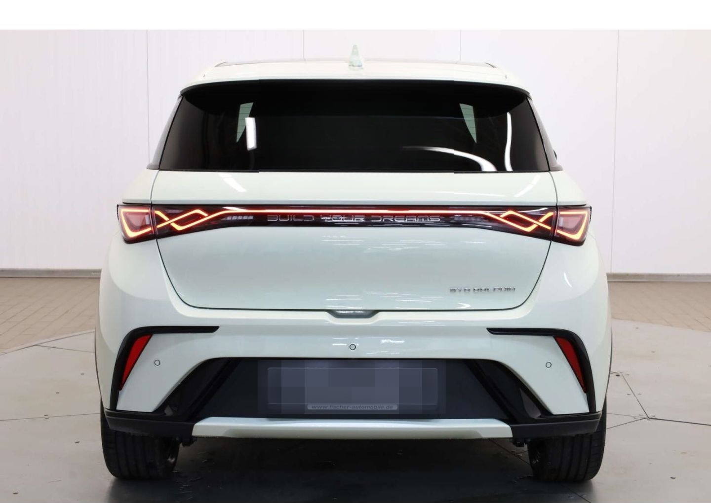 BYD Dolphin Design foto 6