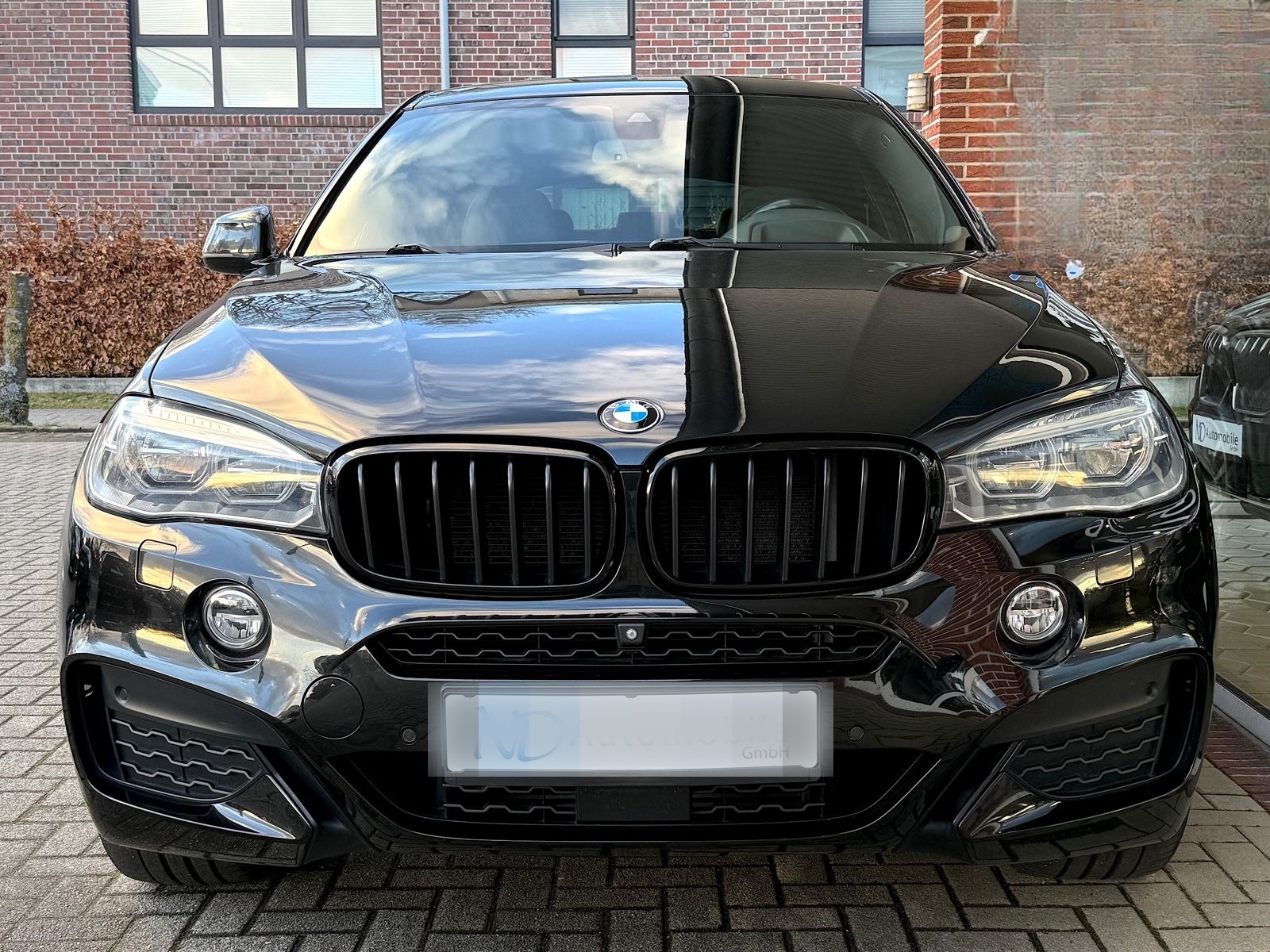 BMW X6 40d xD AC-Schnitzer M-Sport AssistantPlus AHK foto 20