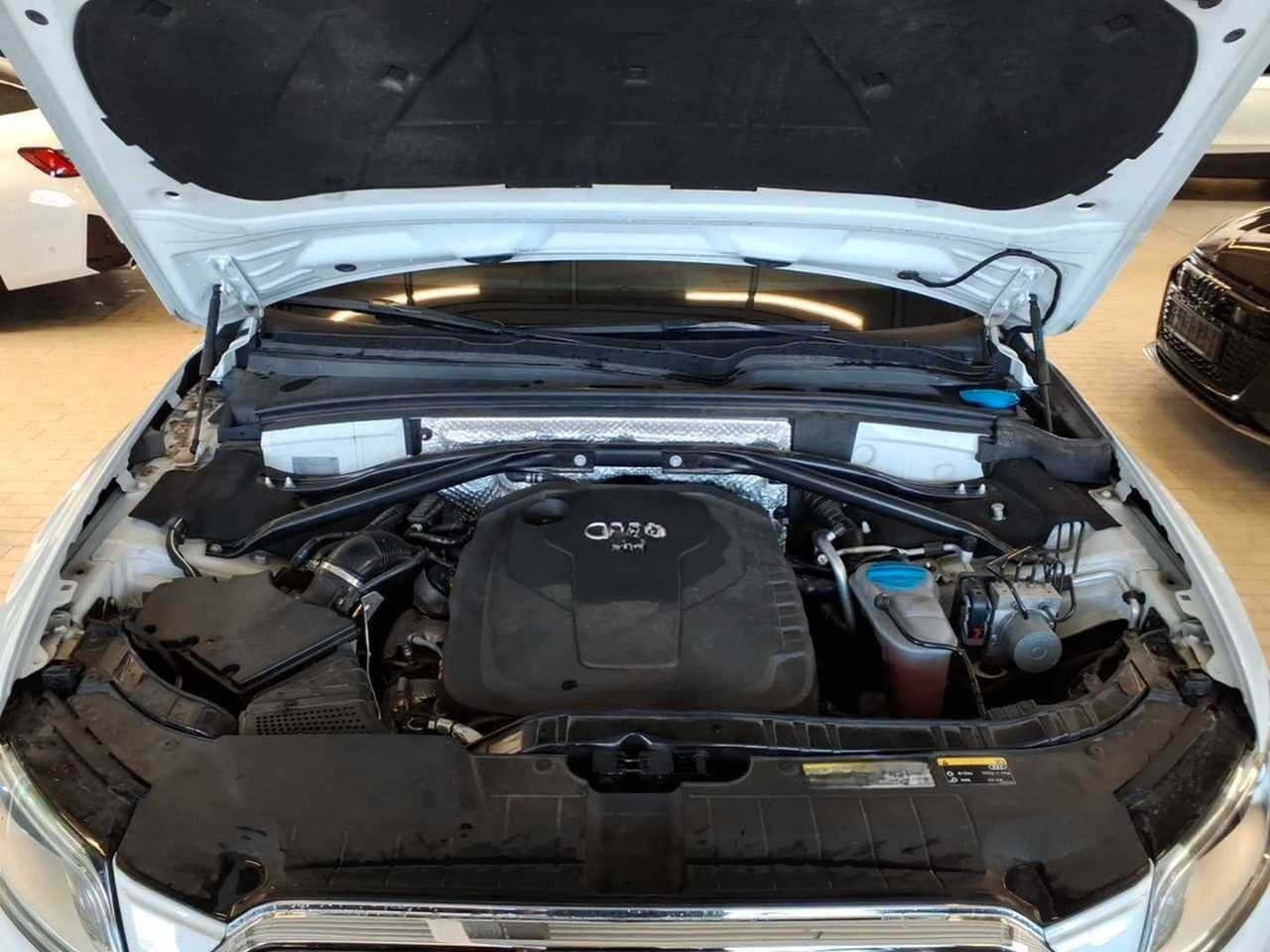 Audi Q5 2.0 TDI 140 kW quattro S-Line Xenon foto 16