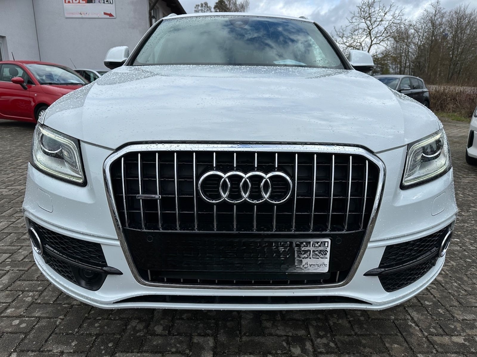 Audi Q5 2.0 TDI 140 kW quattro S-Line Xenon foto 3