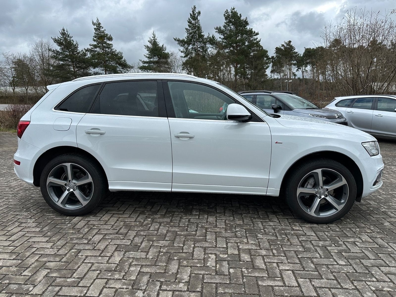 Audi Q5 2.0 TDI 140 kW quattro S-Line Xenon foto 4