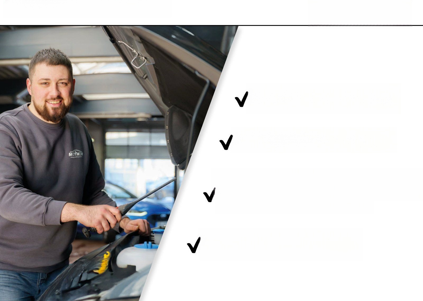 Volkswagen Tiguan Life 1.5eTSI DSG 360°Kamera AHK Schwenkba foto 25