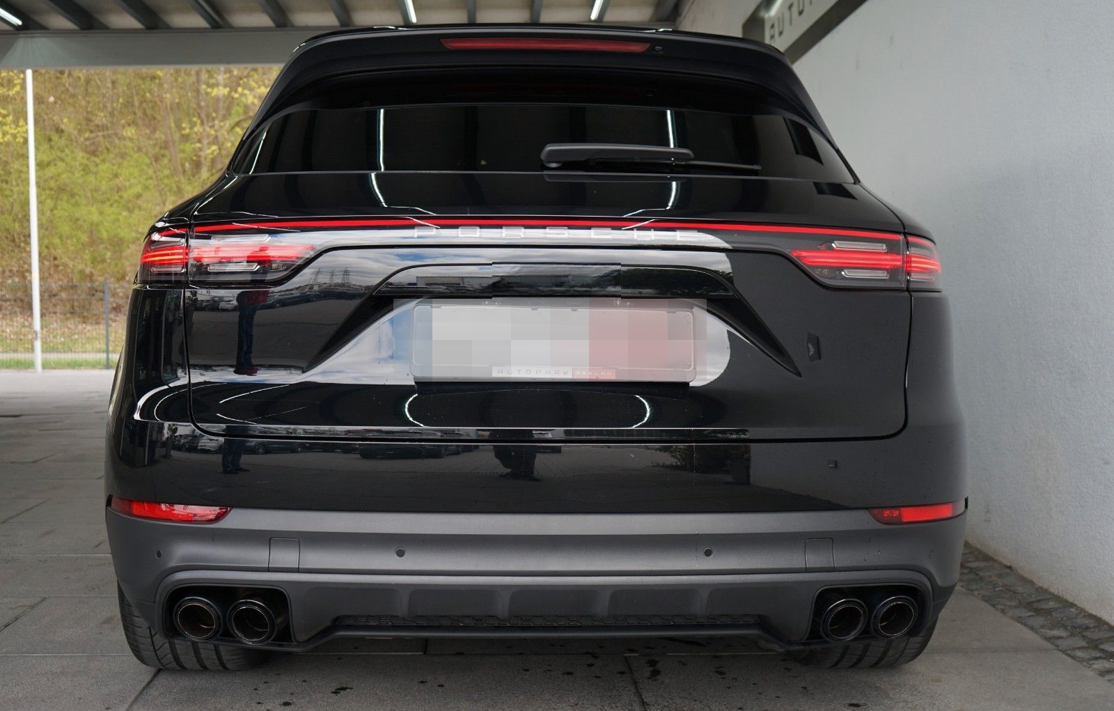 Porsche Cayenne Platinum Edition/Luft/STHZ/Pano/ACC foto 3